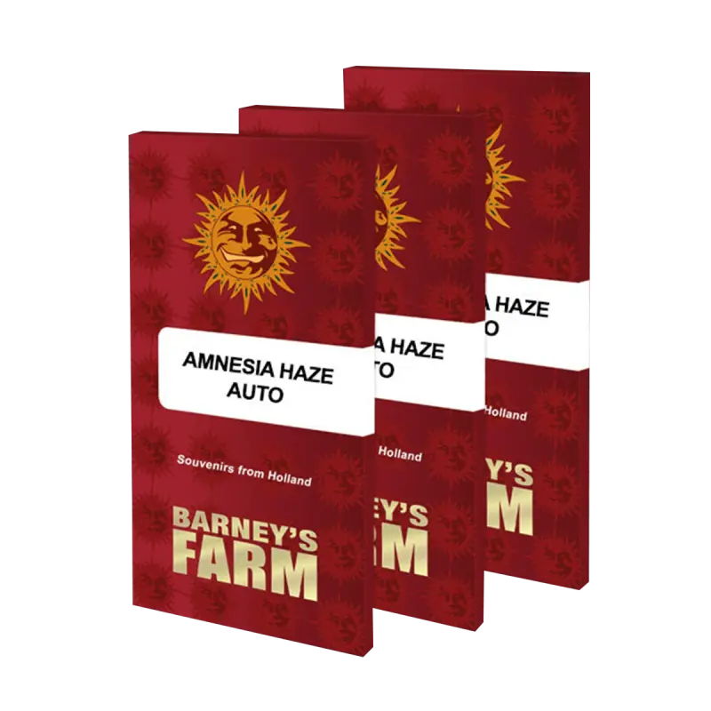 Barneys Farm Amnesia Haze - Auto - 3pcs
