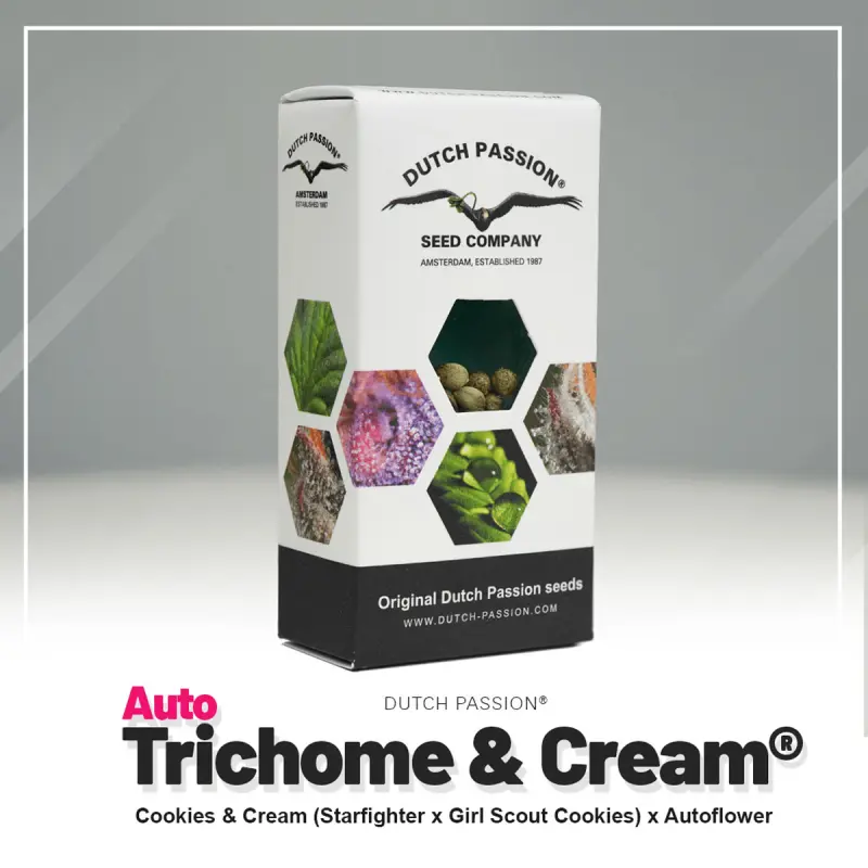 Dutch Passion Trichome & Cream - Auto - 3er