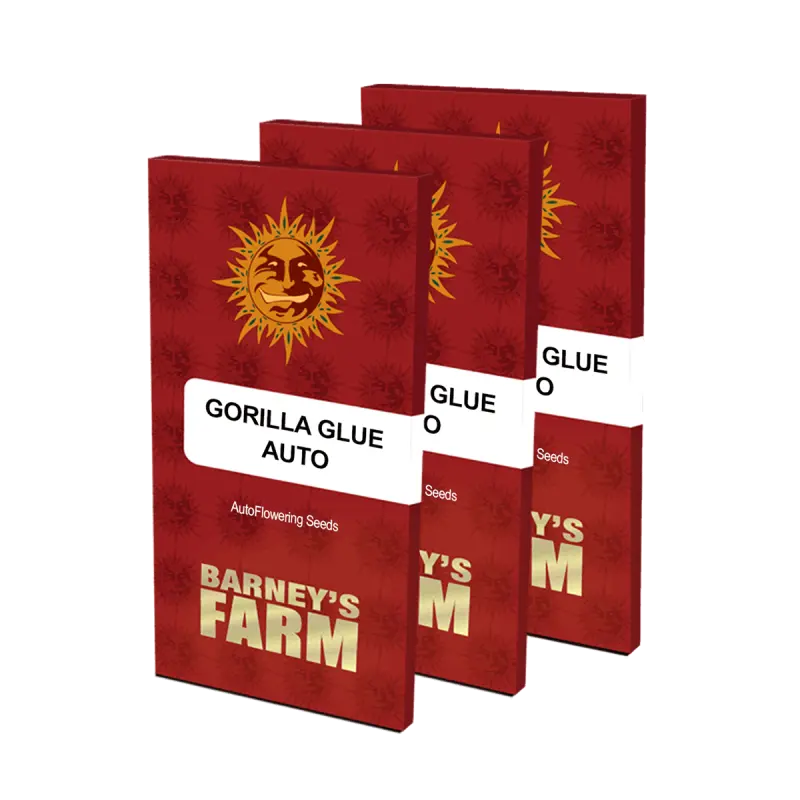 Barneys Farm Gorilla Glue - Automatic - 3 seeds