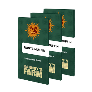 Barneys Farm Runtz Muffin | Feminisiert | 10 Samen -...
