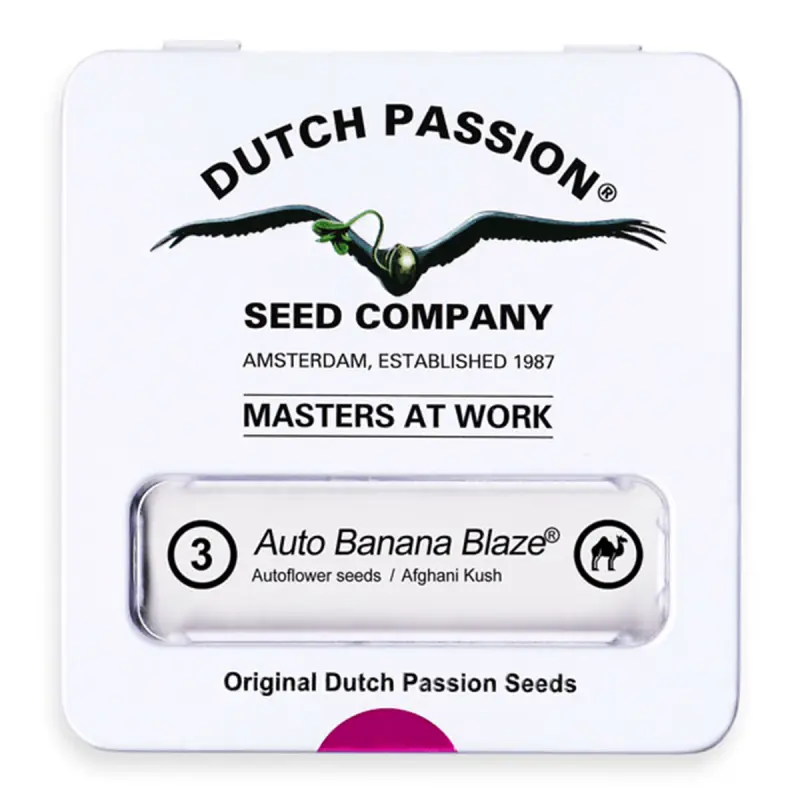 Dutch Passion Auto Banana Blaze - Automatic - 3 seeds