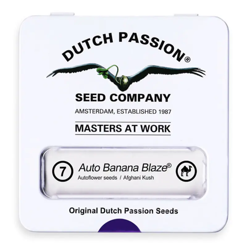 Dutch Passion Auto Banana Blaze - Automatic - 7 seeds