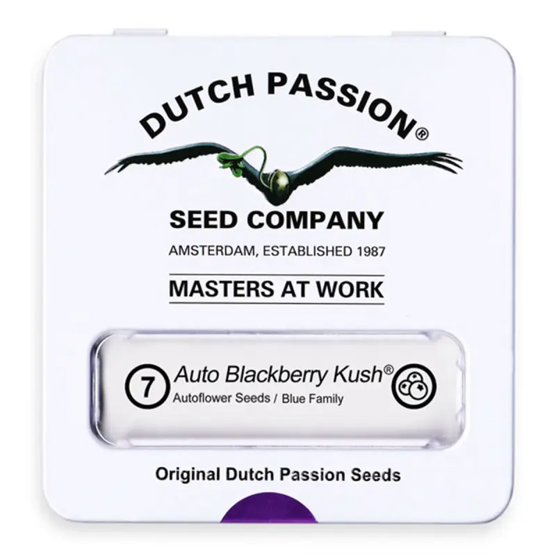 Dutch Passion Auto Blackberry Kush - Automatic - 7 seeds