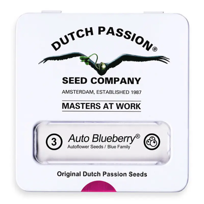 Dutch Passion Auto Blueberry - Automatic - 3 seeds