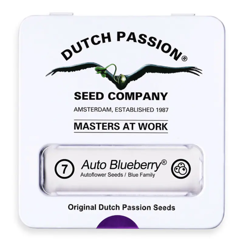 Dutch Passion Auto Blueberry - Automatic - 7 seeds