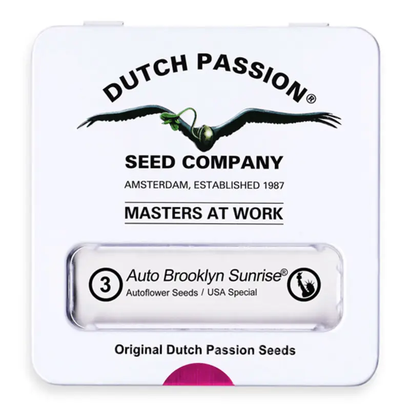 Dutch Passion Auto Brooklyn Sunrise - Automatic - 3 seeds...
