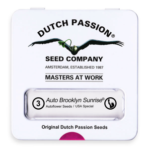 Dutch Passion Auto Brooklyn Sunrise | Automatik | 3 Samen...