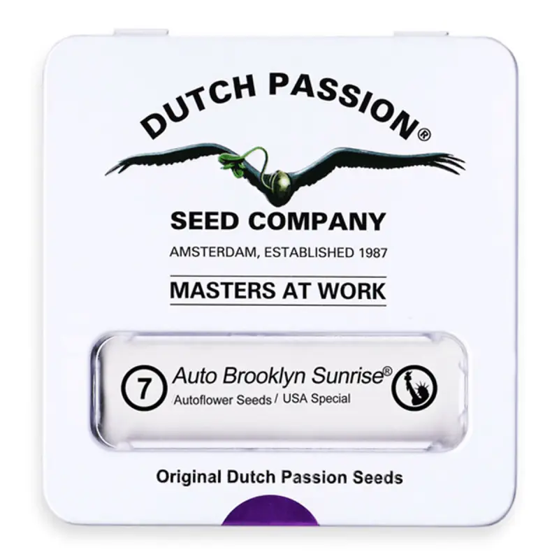 Dutch Passion Auto Brooklyn Sunrise - Automatic - 7 seeds...