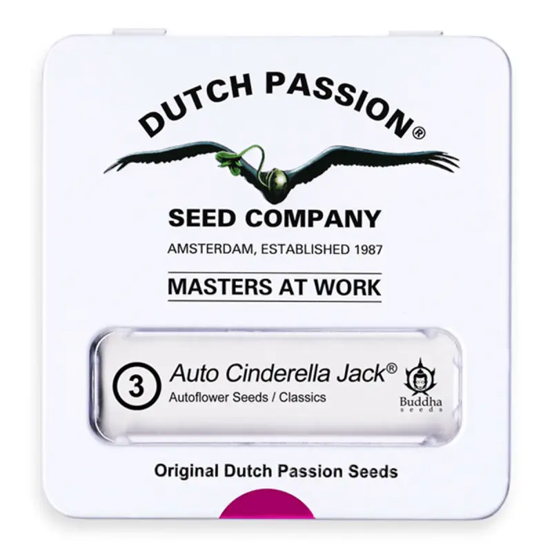 Dutch Passion Auto Cinderella Jack - Automatic - 3 seeds