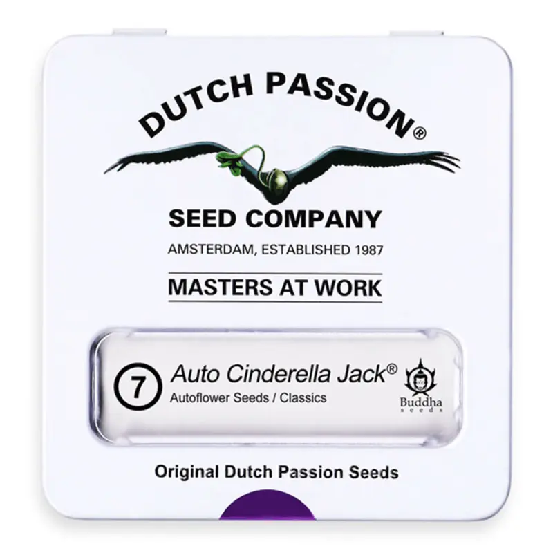 Dutch Passion Auto Cinderella Jack - Automatic - 7 seeds
