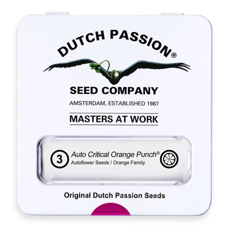 Dutch Passion Auto Critical Orange Punch - Automatic - 3 seeds