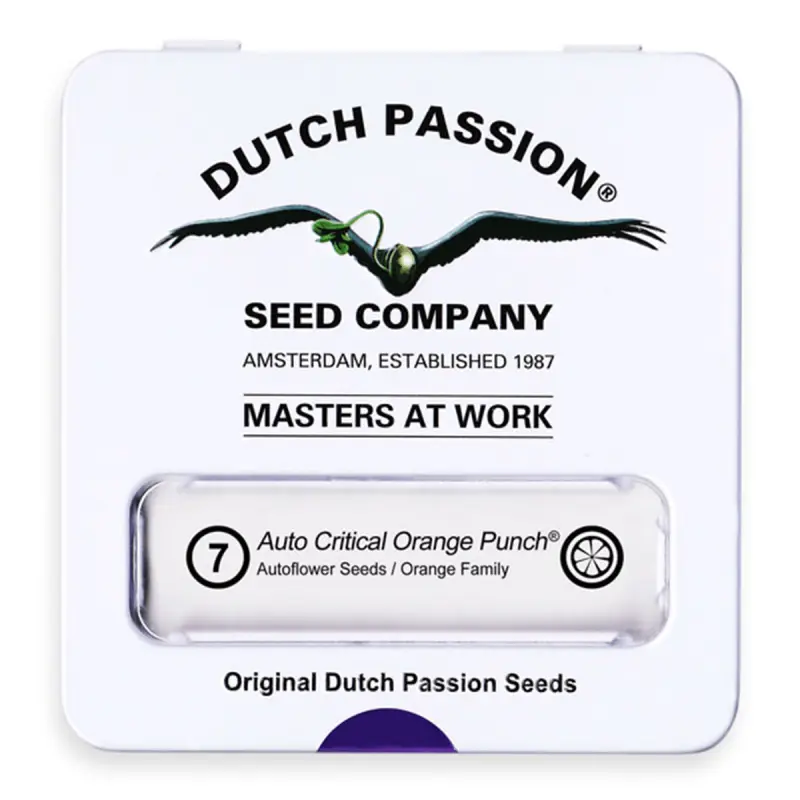 Dutch Passion Auto Critical Orange Punch - Automatic - 7 seeds