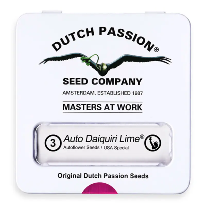 Dutch Passion Auto Daiquiri Lime - Automatic - 3 seeds