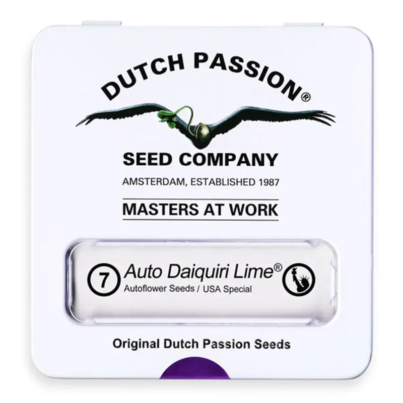 Dutch Passion Auto Daiquiri Lime - Automatic - 7 seeds