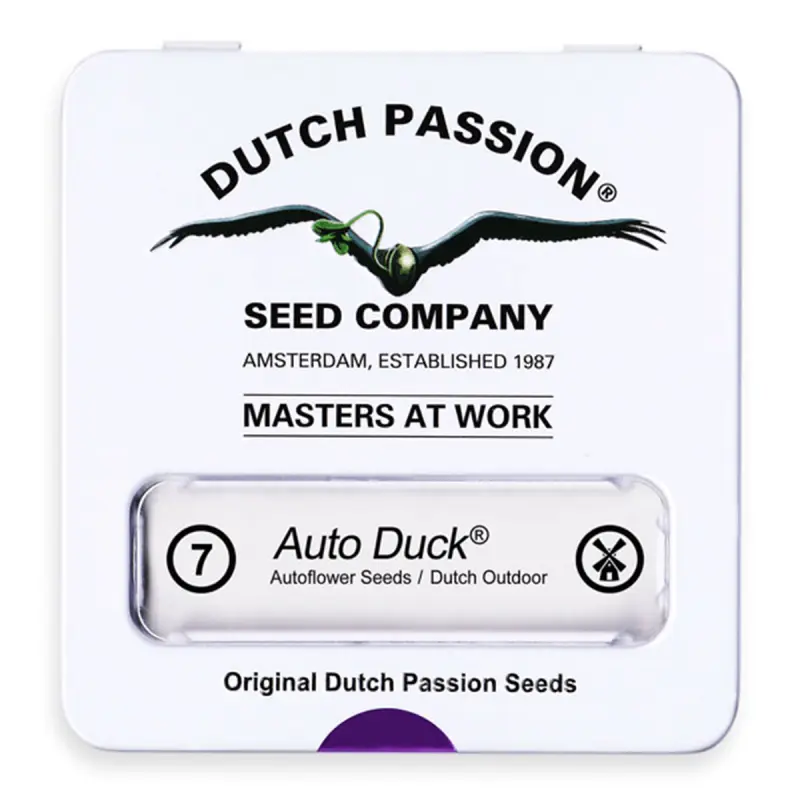 Dutch Passion Auto Duck - Automatic - 7 seeds