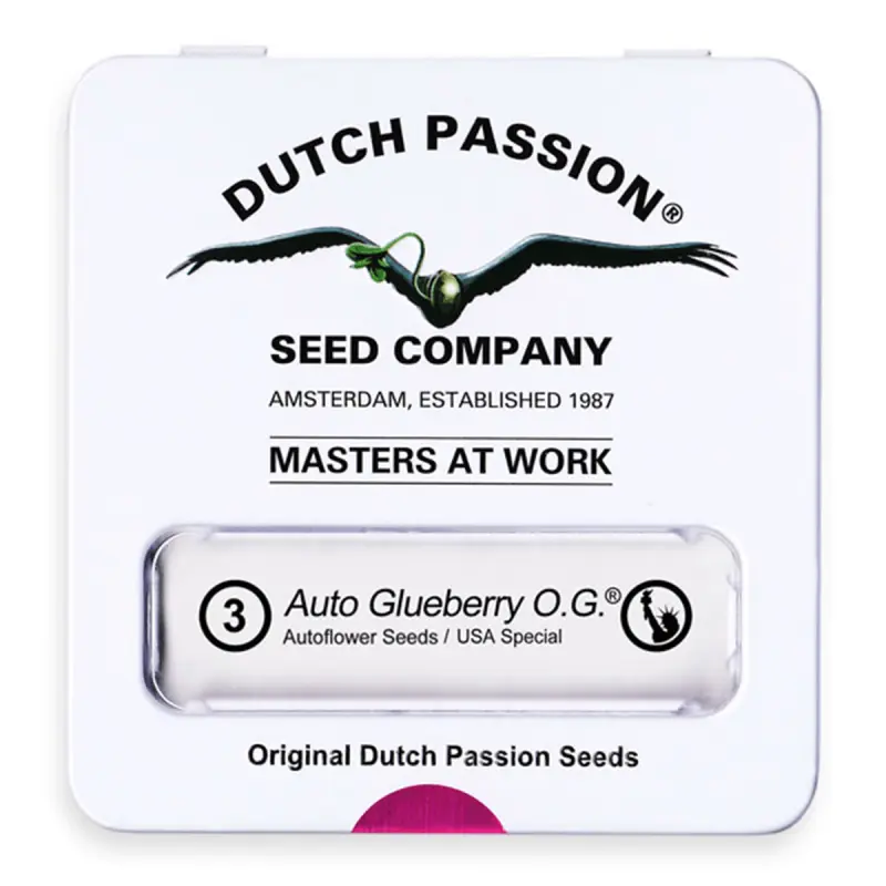 Dutch Passion Auto Glueberry O.G. - Automatic - 3 seeds
