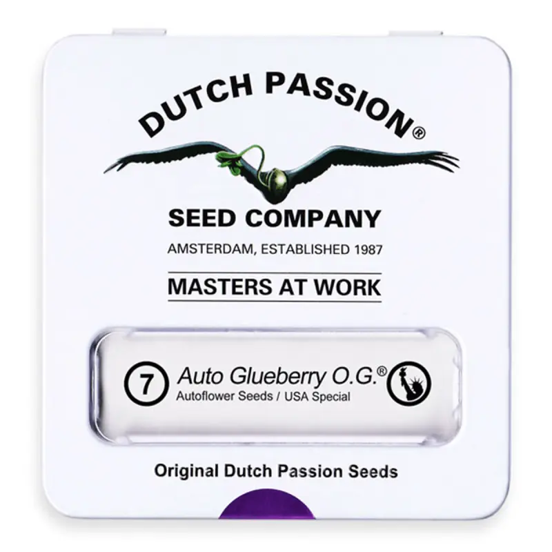 Dutch Passion Auto Glueberry O.G. - Automatic - 7 seeds