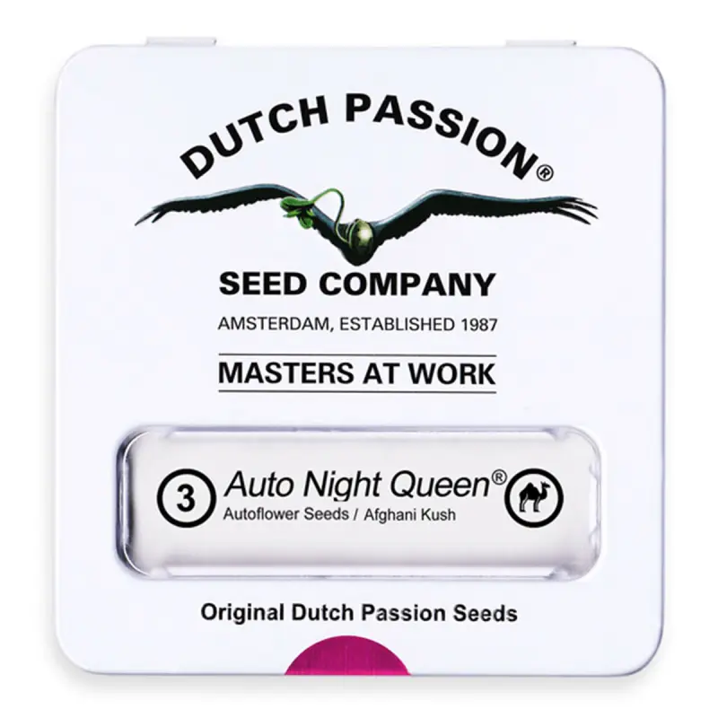 Dutch Passion Auto Night Queen - Automatic - 3 seeds