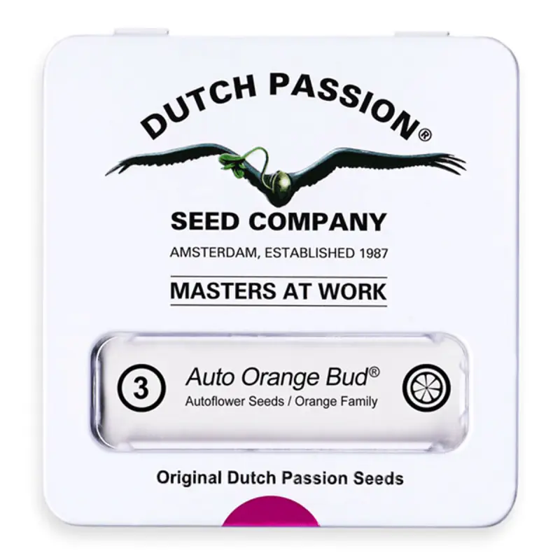 Dutch Passion Auto Orange Bud - Automatic - 3 seeds