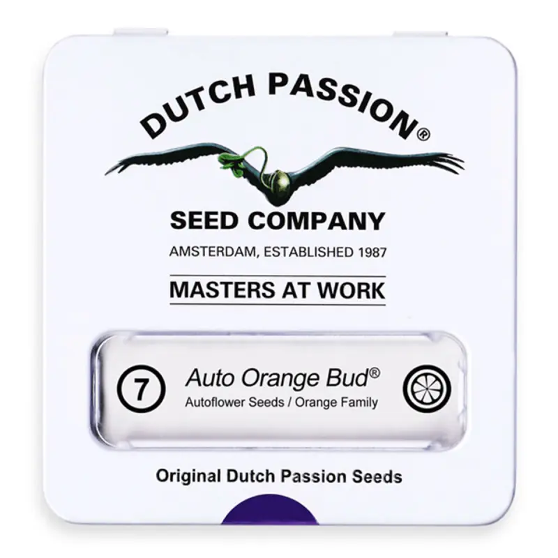 Dutch Passion Auto Orange Bud - Automatic - 7 seeds