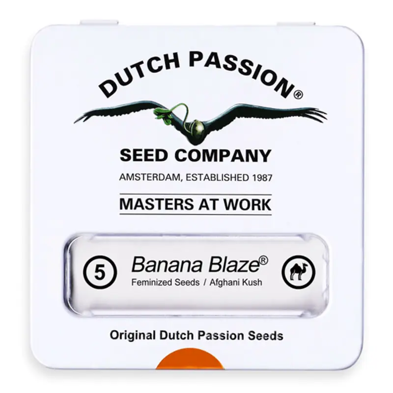 Dutch Passion Banana Blaze | Feminisiert | 5 Samen