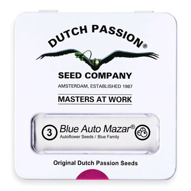 Dutch Passion Blue Auto Mazar - Automatic - 3 seeds