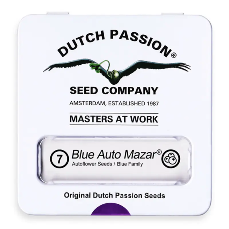 Dutch Passion Blue Auto Mazar | Automatik | 7 Samen