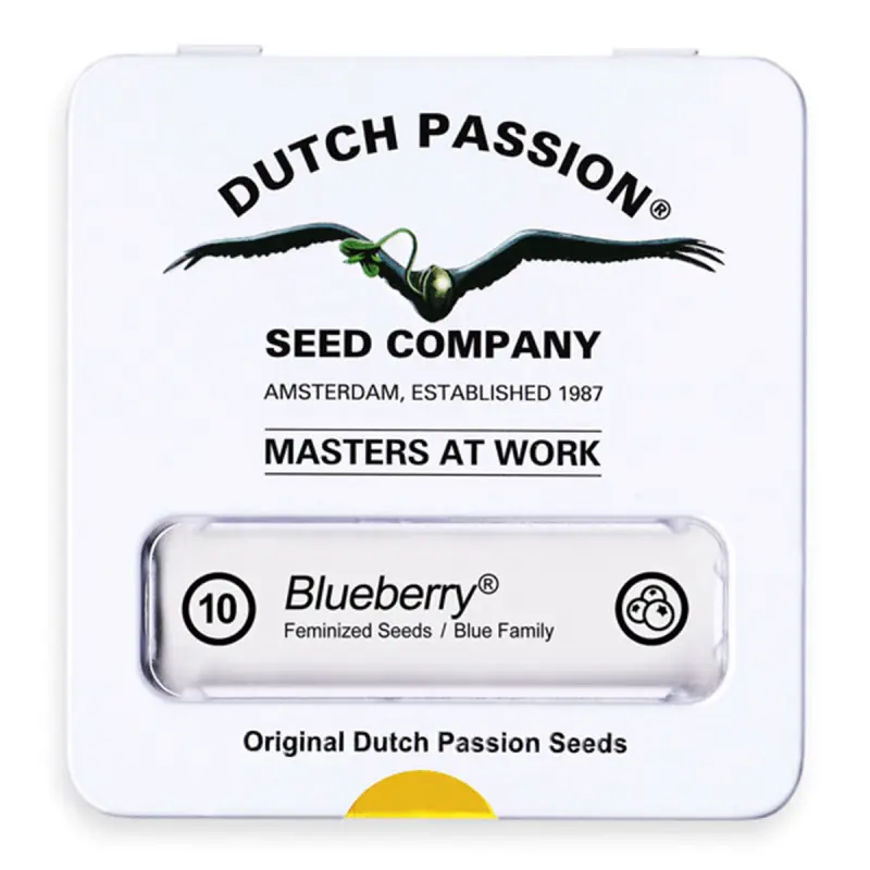Dutch Passion Blueberry | Feminisiert | 10 Samen