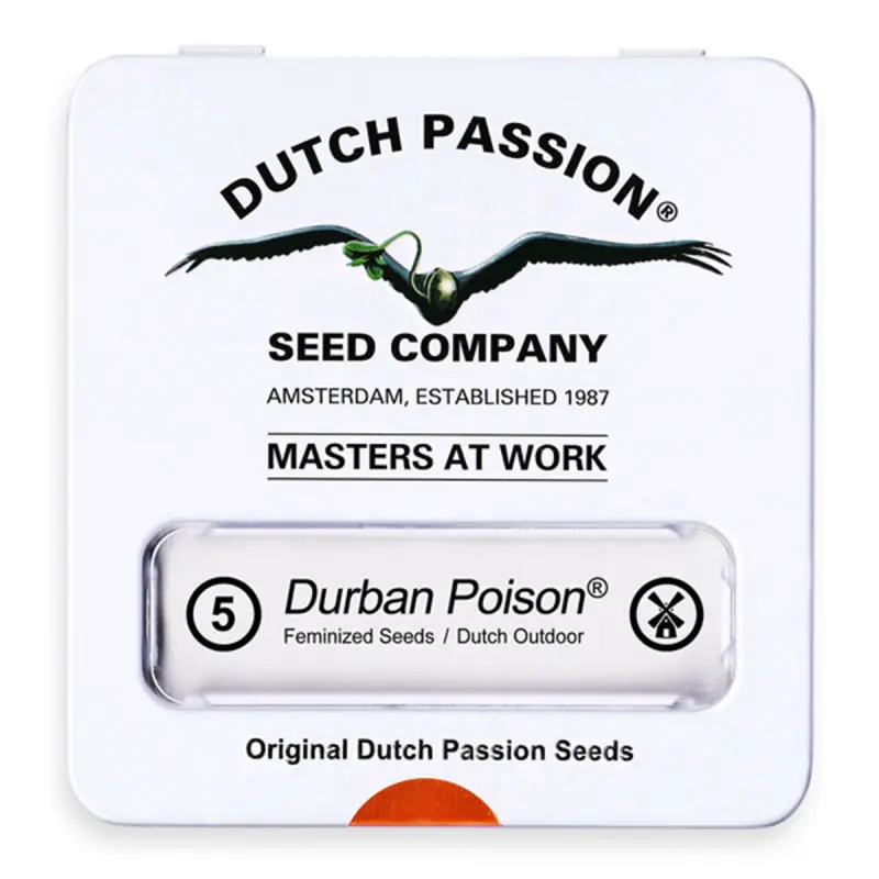 Dutch Passion Durban Poison | Feminisiert | 5 Samen