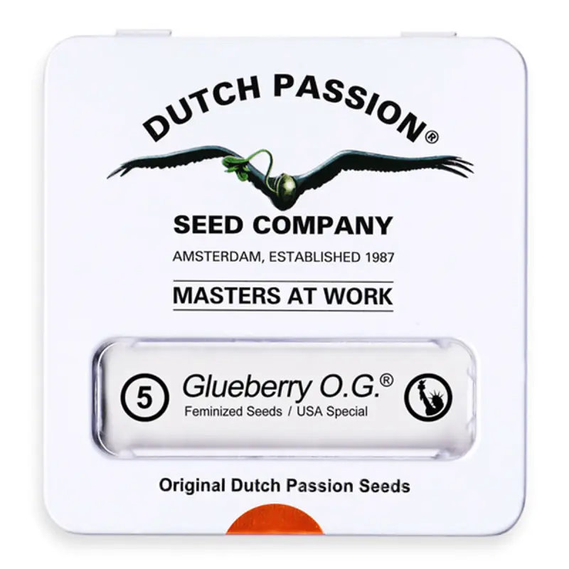 Dutch Passion Glueberry O.G. | Feminisiert | 5 Samen
