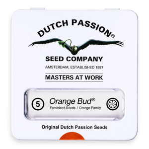 Dutch Passion Orange Bud | Feminisiert | 5 Samen