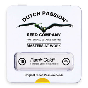 Dutch Passion Pamir Gold | Feminisiert | 10 Samen