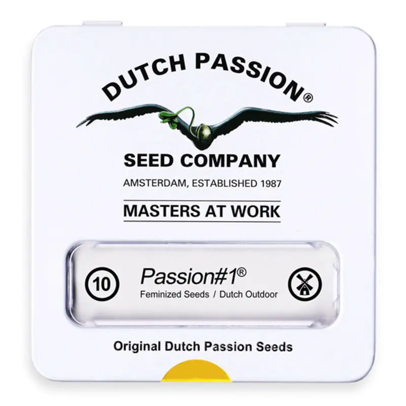 Dutch Passion Passion #1 | Feminisiert | 10 Samen