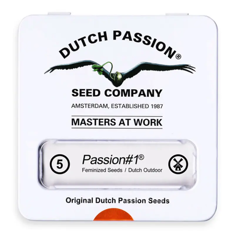 Dutch Passion Passion #1 | Feminisiert | 5 Samen