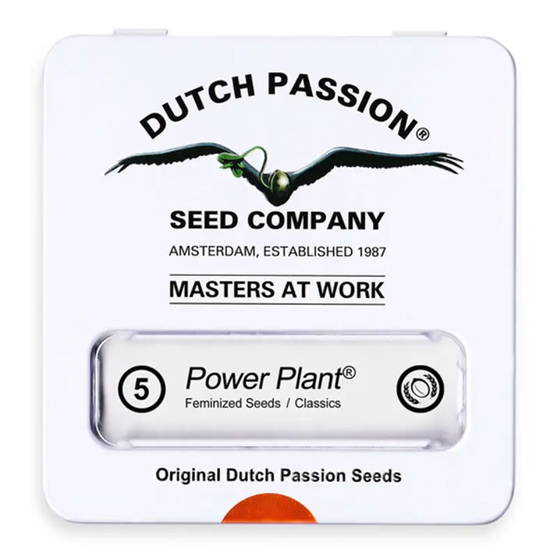 Dutch Passion Power Plant | Feminisiert | 5 Samen