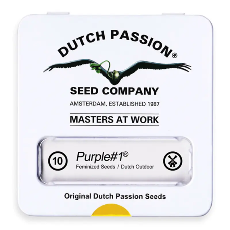 Dutch Passion Purple #1 | Feminisiert | 10 Samen - Auslaufartikel