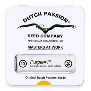 Dutch Passion Purple #1 | Feminisiert | 10 Samen - Auslaufartikel