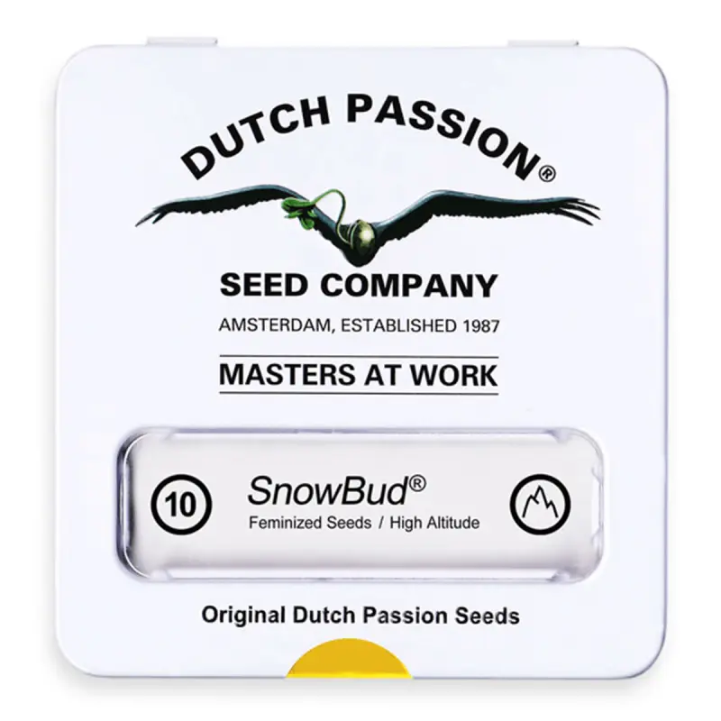 Dutch Passion Snow Bud | Feminisiert | 10 Samen