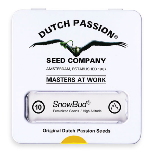 Dutch Passion Snow Bud | Feminisiert | 10 Samen