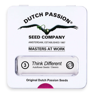 Dutch Passion Think Different | Automatik | 3 Samen