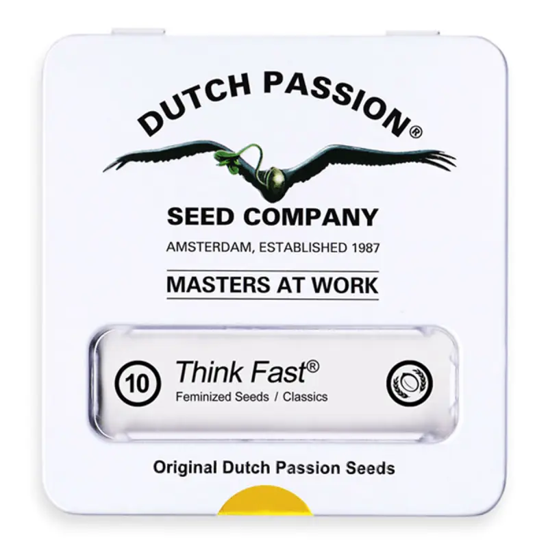 Dutch Passion Think Fast | Feminisiert | 10 Samen