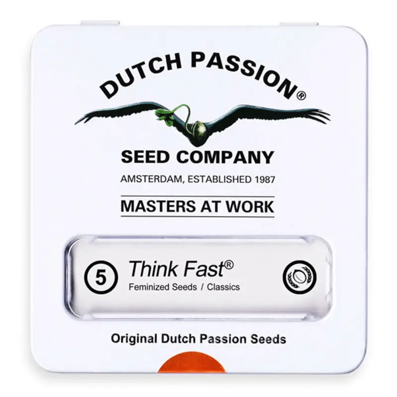 Dutch Passion Think Fast | Feminisiert | 5 Samen