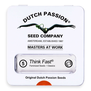 Dutch Passion Think Fast | Feminisiert | 5 Samen