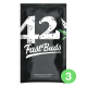 Fast Buds Original Amnesia Haze | Automatik | 3 Samen
